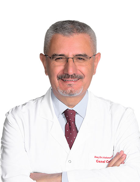 MEHMET GÜLER